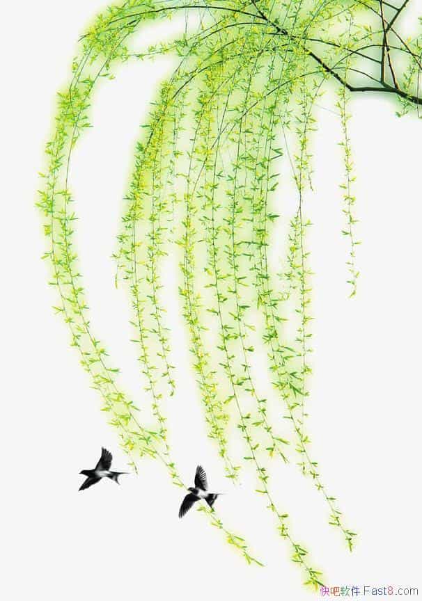中国风传统清明时节垂柳素材2336x3504&透明设计素材PNG原图